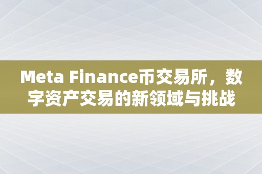 Meta Finance币交易所，数字资产交易的新领域与挑战