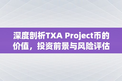 深度剖析TXA Project币的价值，投资前景与风险评估