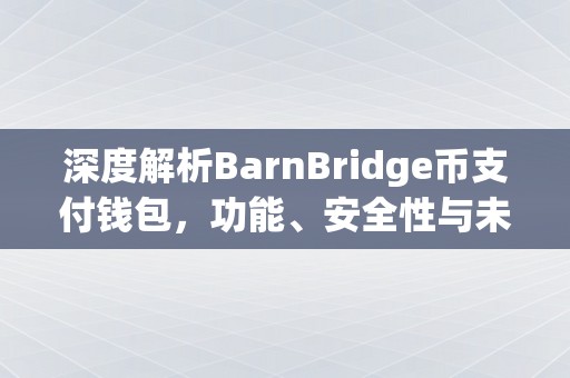 深度解析BarnBridge币支付钱包，功能、安全性与未来发展